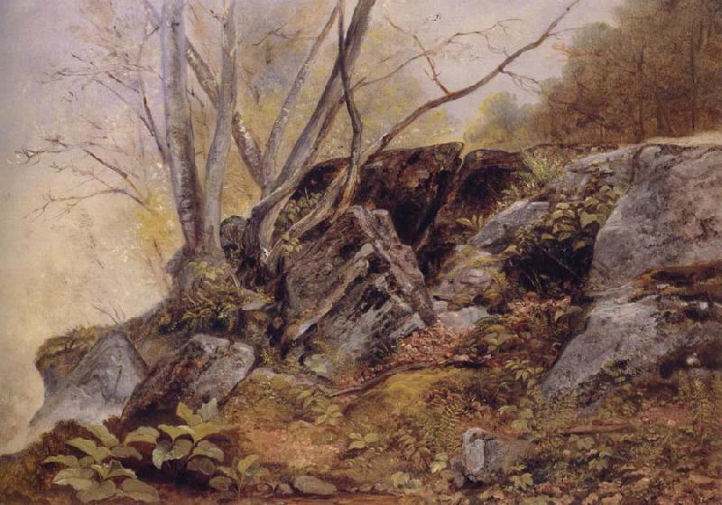 Asher Brown Durand Study from Nature,Bronxville oil painting image